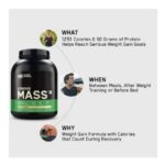 ⁦Serious mass⁩ - الصورة ⁦7⁩