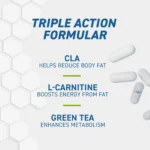 ⁦CLA + L-CARNITINE & GREEN TEA⁩ - الصورة ⁦4⁩