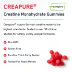 ⁦Creatine Monohydrate Gummies⁩ - الصورة ⁦5⁩